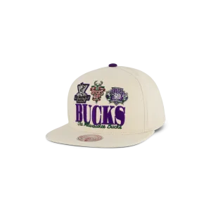 Bucks Reframe Retro Snapback HWC