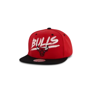 Bulls Transcript Snapback