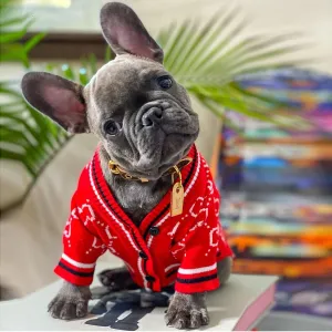SnugglePup Frenchie Knit Fashion Winter Sweater