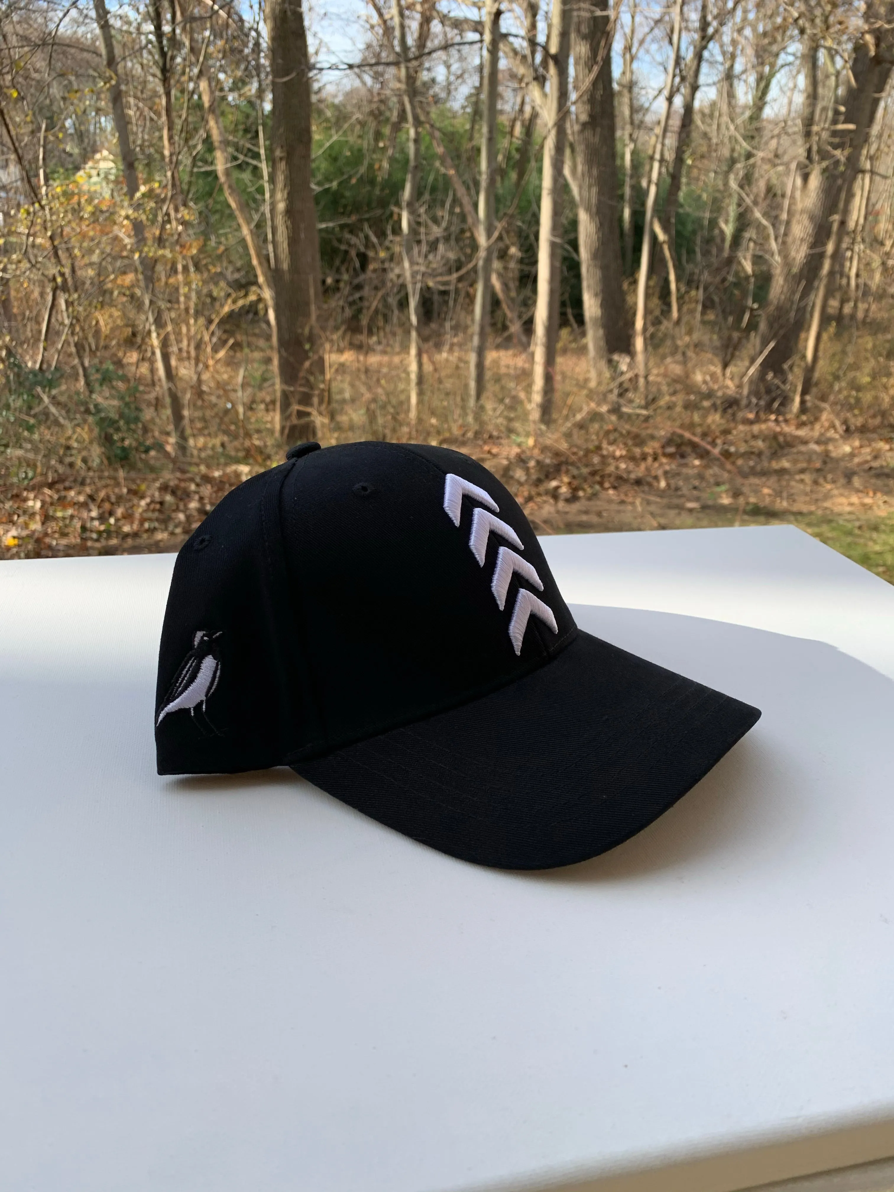 Takeoff Pro 3D Snapback Caps - Black